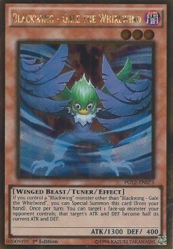 Blackwing - Gale the Whirlwind 
