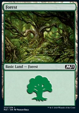 Forest (V.1) 