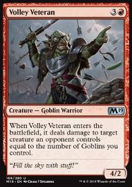 Volley Veteran 