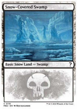 Snow Covered Swamp 