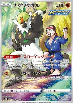 Passimian 