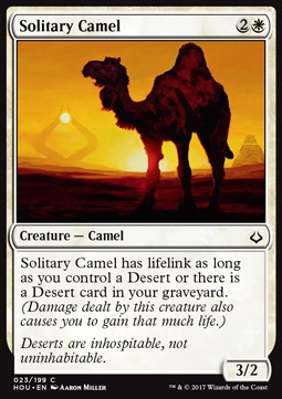Solitary Camel 