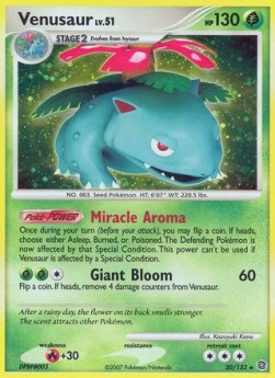 Venusaur Lv.51 