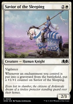 Savior of the Sleeping 