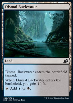 Dismal Backwater 