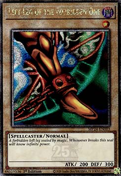 Left Leg of the Forbidden One 