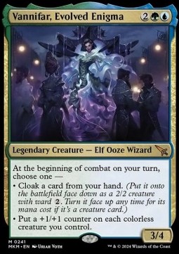 Vannifar Evolved Enigma 