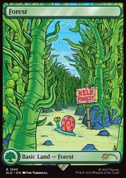 Forest 