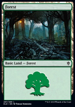 Forest (V.2) 