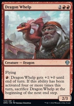 Dragon Whelp 
