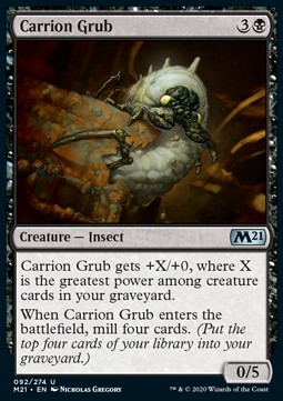 Carrion Grub 