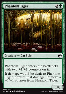 Phantom Tiger 