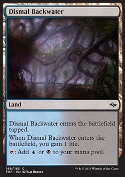 Dismal Backwater 