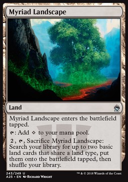 Myriad Landscape - Masters 25