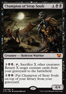 Champion of Stray Souls 