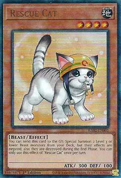 Rescue Cat (V.14 Ultimate Rare)