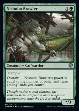 Nishoba Brawler 