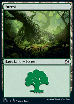 Forest 