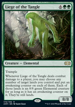 Liege of the Tangle 