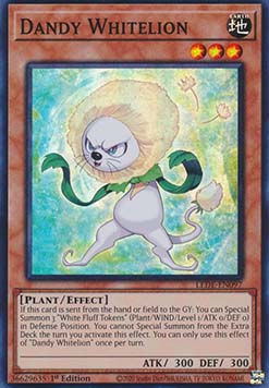 Dandy Whitelion 