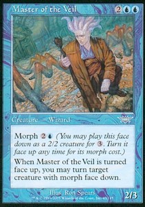 Master of the Veil 