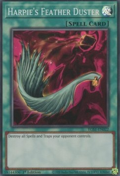 Harpie's Feather Duster 
