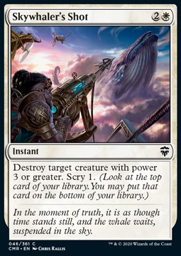 Skywhaler's Shot 