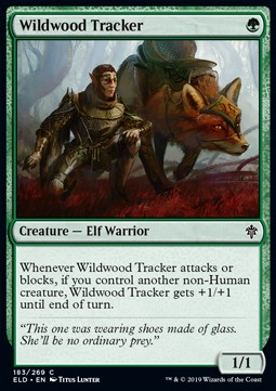 Wildwood Tracker 