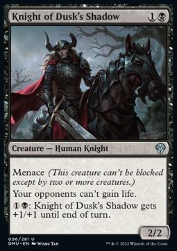 Knight of Dusk's Shadow 