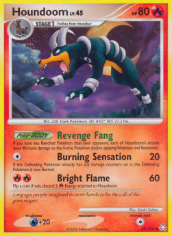 Houndoom Lv.45 
