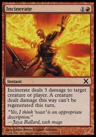 Incinerate 