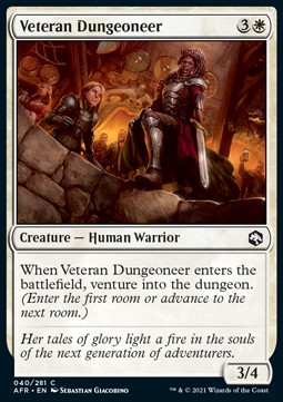 Veteran Dungeoneer 