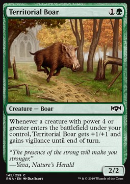 Territorial Boar 