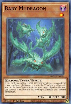 Baby Mudragon 