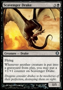 Scavenger Drake 
