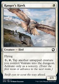 Ranger's Hawk 