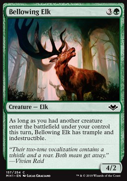 Bellowing Elk 