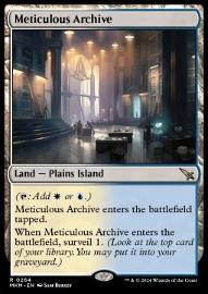 Meticulous Archive 