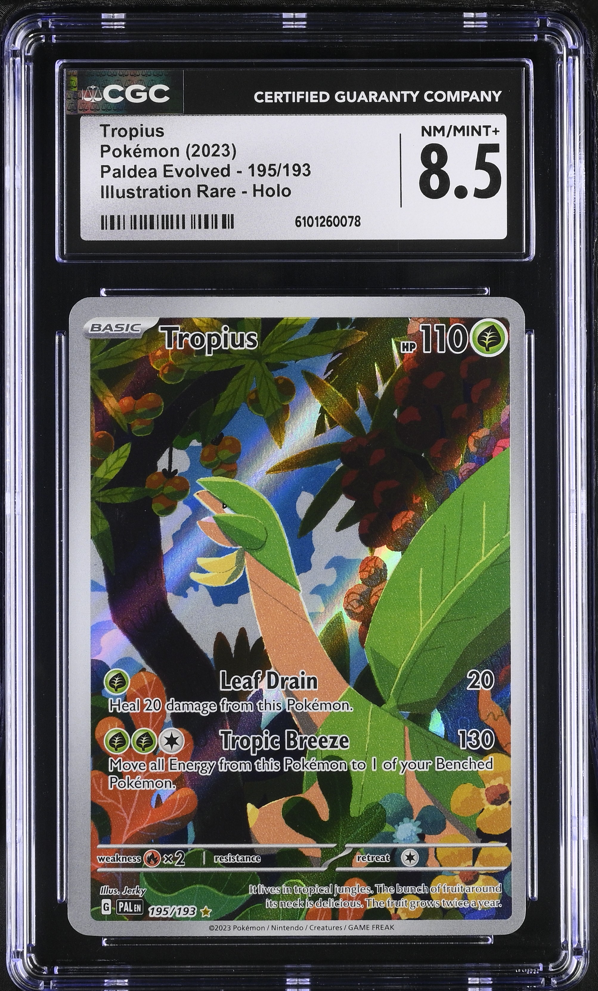 Tropius - PAL 195 - English - CGC 8.5