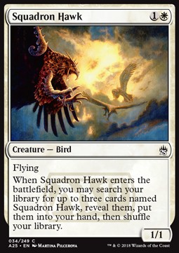 Squadron Hawk - Masters 25