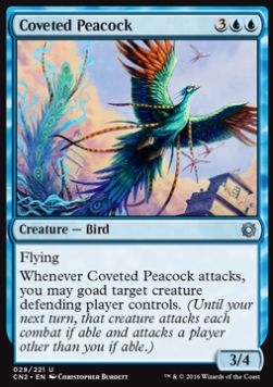 Coveted Peacock 