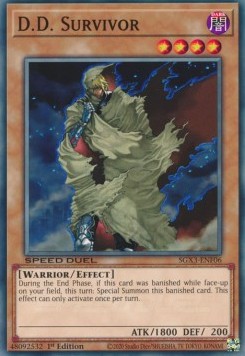 D.D. Survivor 