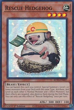 Rescue Hedgehog 