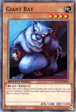 Giant Rat 