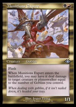 Munitions Expert 
