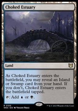 Choked Estuary 