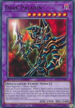 Dark Paladin 
