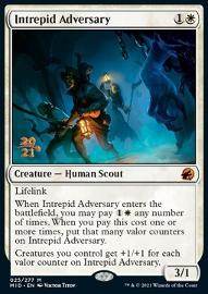 Intrepid Adversary (V.1) 