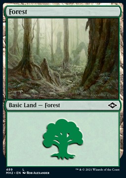 Forest (V.1) 