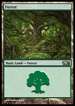 Forest (V.1) 